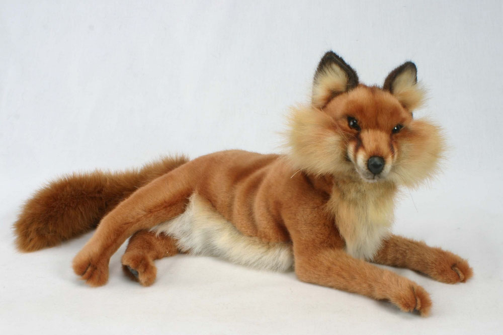 hansa red fox