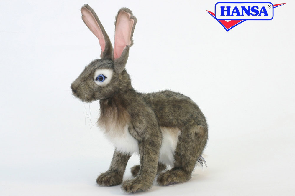 hansa jack rabbit