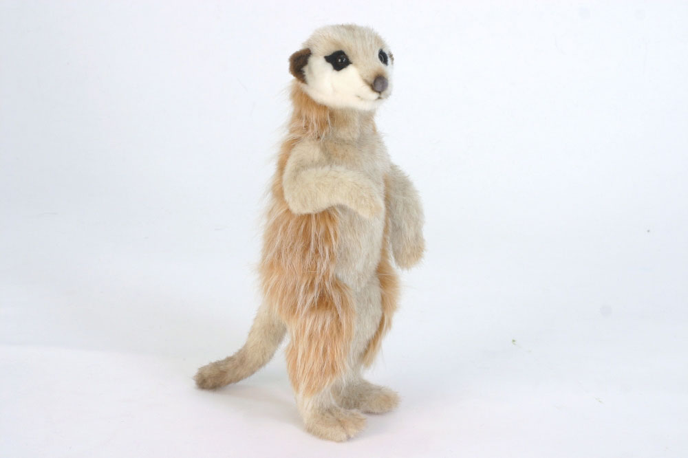 hansa meerkat