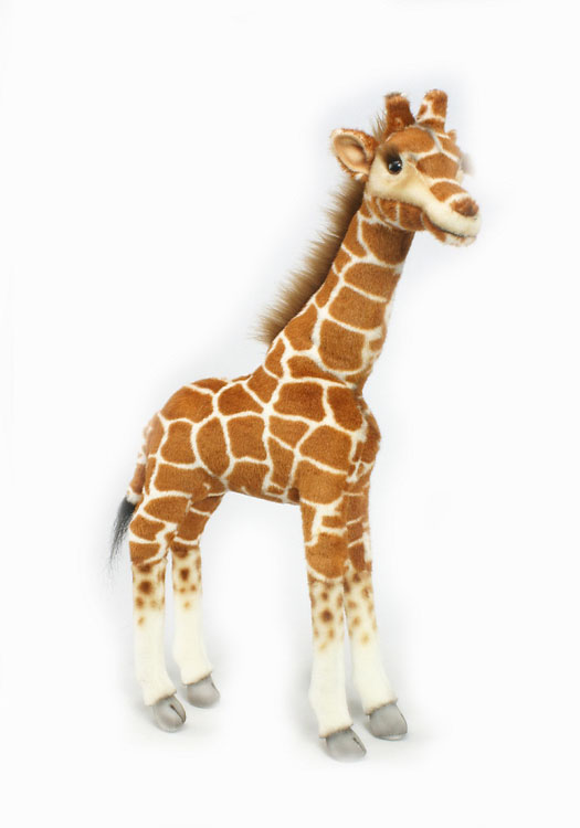 hansa giraffe