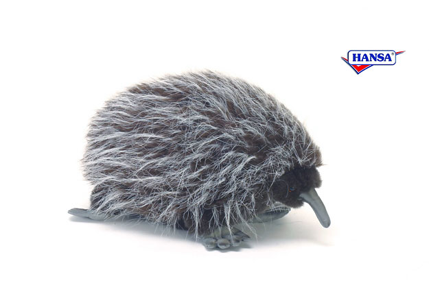 echidna stuffed animal