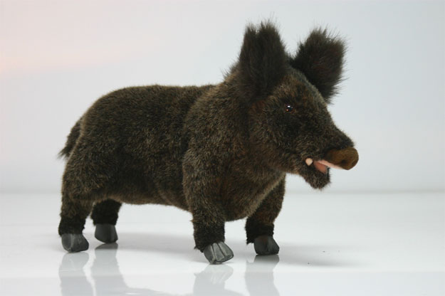 hansa wild boar