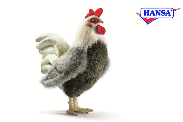 hansa rooster