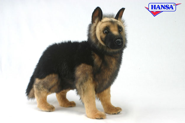 hansa german shepherd