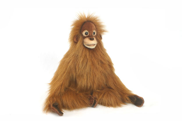 iceland orangutan teddy bear