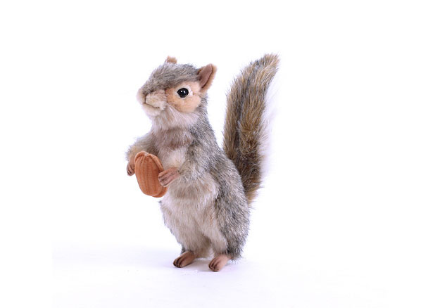 hansa gray squirrel